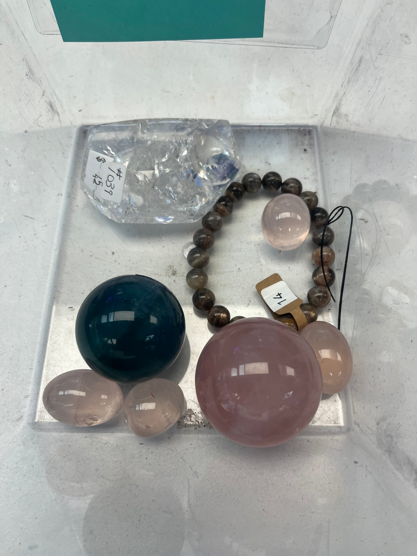 Unhinged Habitats 2/26